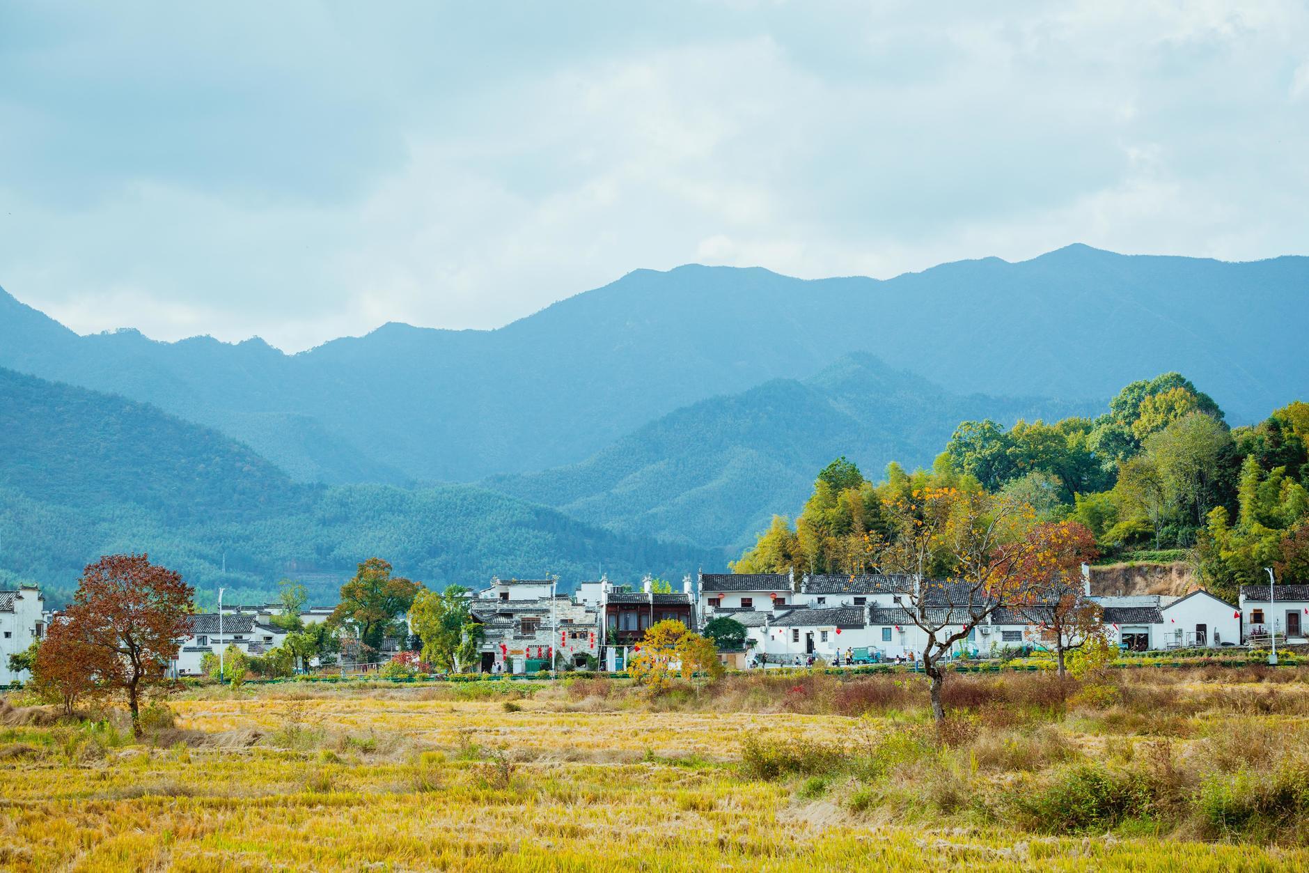 安徽,家的温馨日常与友情故事