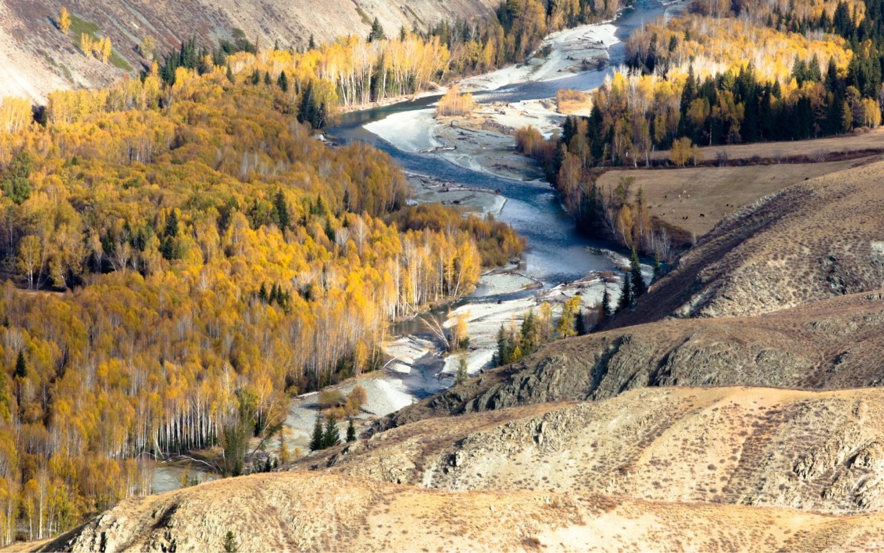新疆，青春足迹的美丽篇章