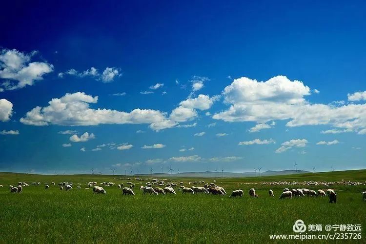 呼伦贝尔,草原明珠的自然乐园