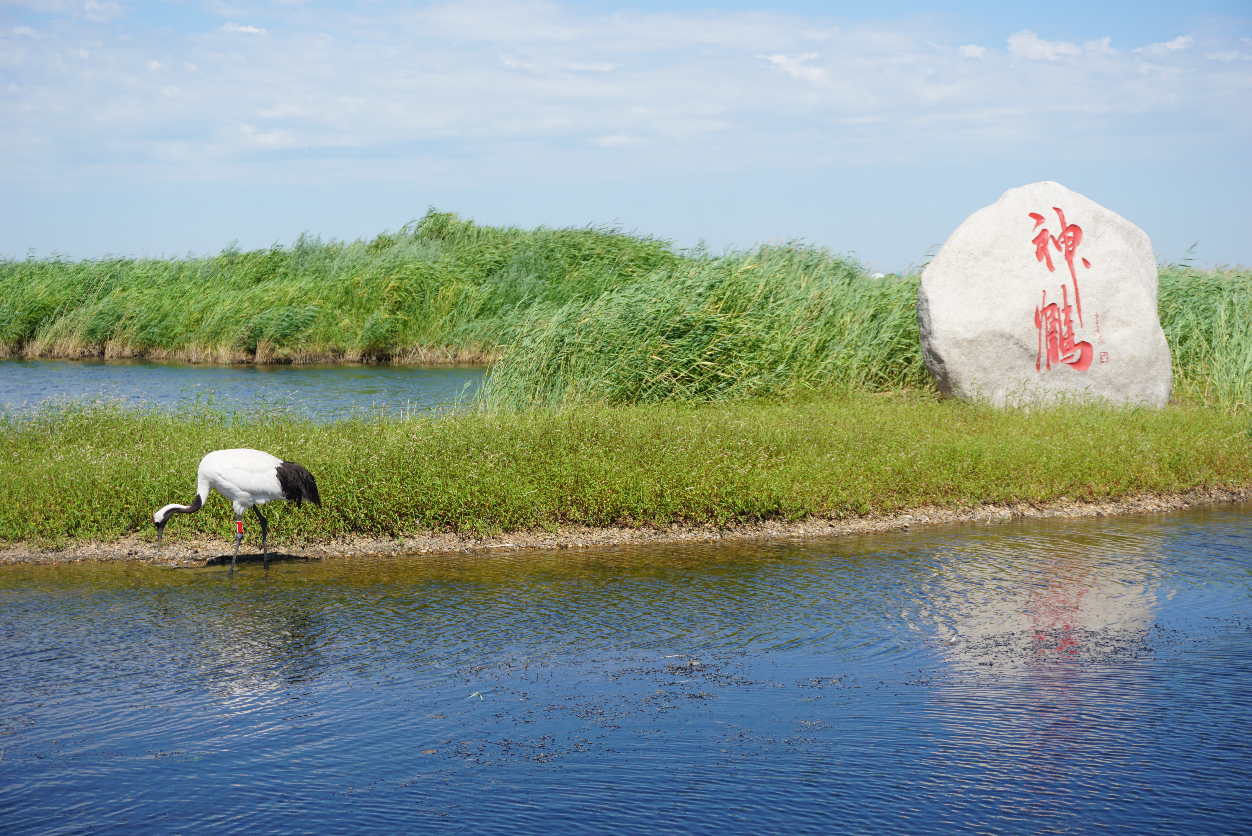 梦想起航地,运城,扬帆新时代