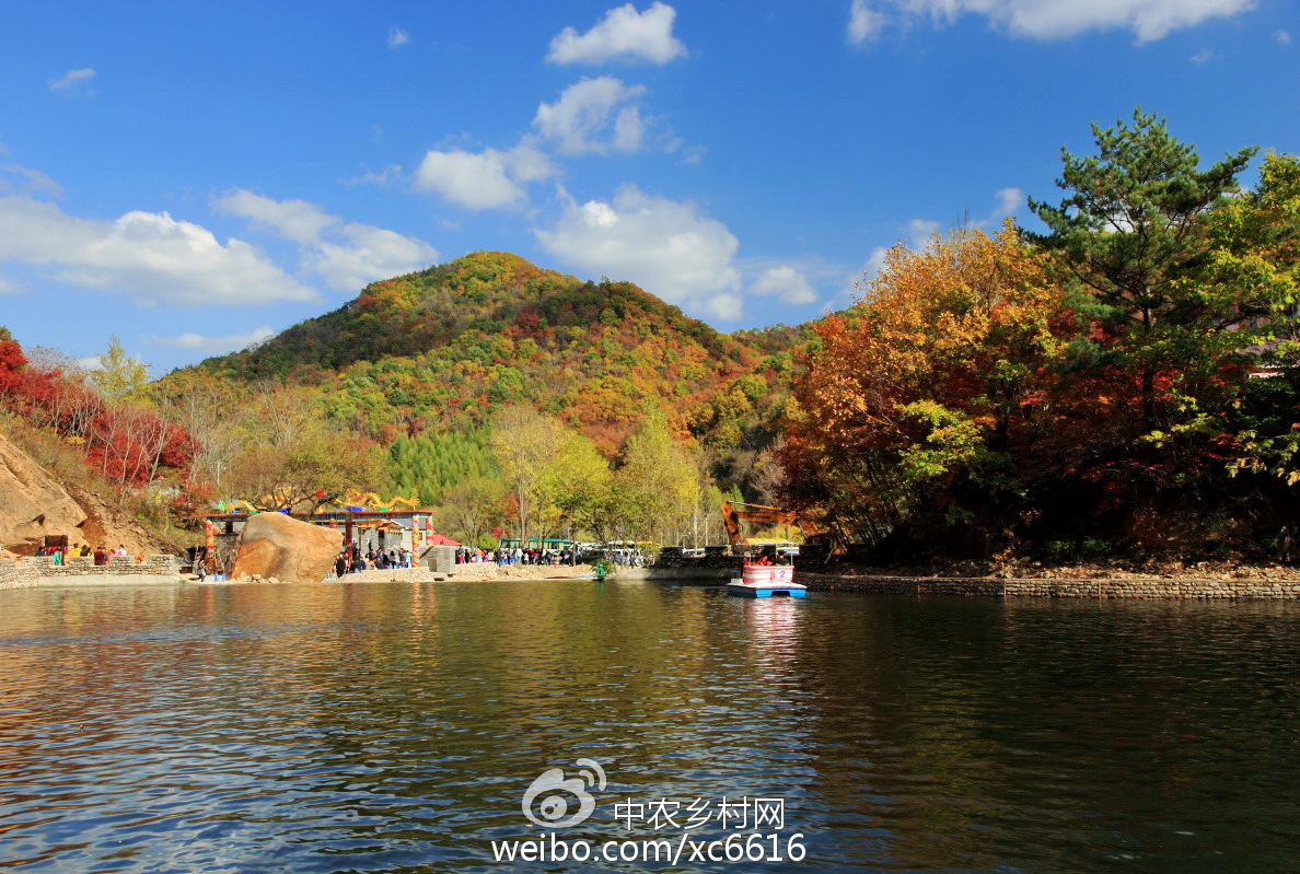 本溪之光,高科技产品重塑生活,引领未来科技新纪元